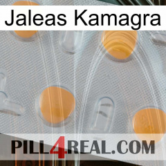 Kamagra Jellies 24